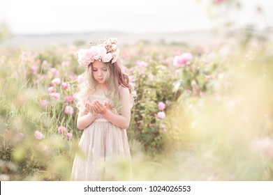 Cute kid girl 4-5 year old holding flower standing in rose field. Wearing stylish dress and floral wreath outdoors. Spring season. 