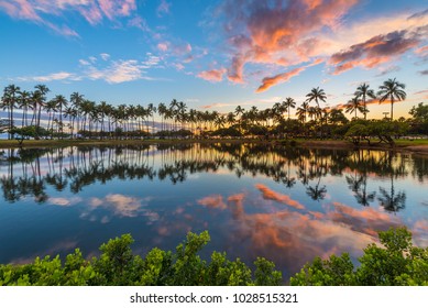 palm tree row at sunset - colorful clouds and palm trees are reflecting into the lagoon at Ala Moana Beach Park in Honolulu Hawaii Oahu