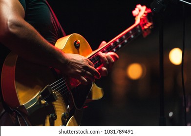 El cantante y su guitarra en concierto