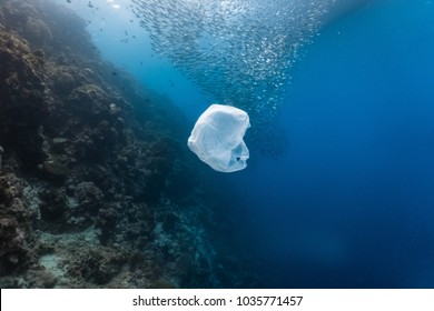 Plastic de unică folosință și banc de pești într-un recif de mică adâncime. Plasticul este un contributor major al poluării oceanelor.
