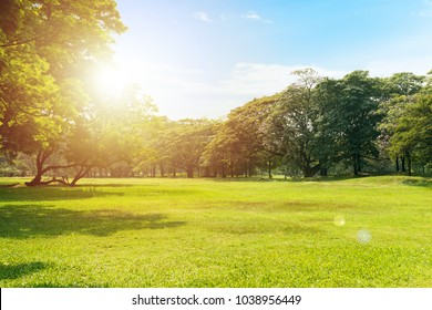 Vista panorámica del parque con campo de hierba verde en la ciudad y un fondo de cielo azul nublado