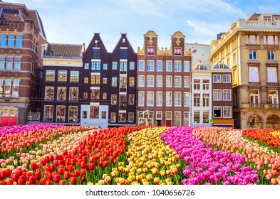 Edificios antiguos tradicionales y tulipanes en Ámsterdam, Países Bajos