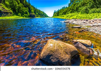 Forest river water flow landscape