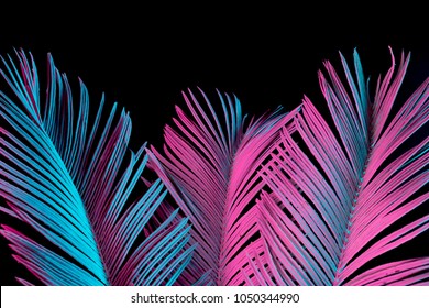 Tropische und Palmblätter in lebendigen holographischen Neonfarben mit kräftigem Farbverlauf. Konzeptkunst. Minimaler surrealistischer Hintergrund.