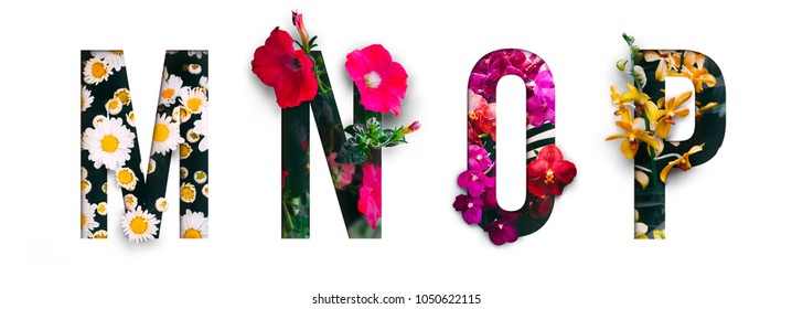 Huruf bunga Alfabet m, n, o, p, terbuat dari bunga hidup asli dengan potongan kertas yang berharga berbentuk huruf. Koleksi font flora brilian untuk dekorasi unik Anda di musim semi, musim panas & banyak ide konsep
