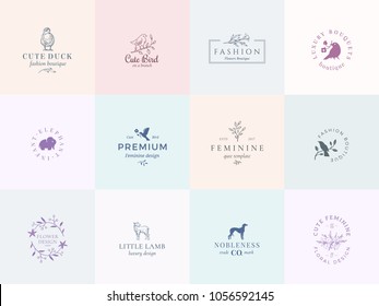 Lilly Logo Vector (.AI) Free Download