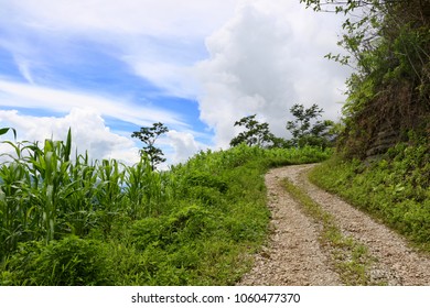 Adventure Calls on Fun and Mysterious Dirt Road in the Mountains with Lush Green Forest and Farmland Against a Blue Sky with Fluffy White Clouds in the Zona Reyna Region of the Guatemalan Highlands 
