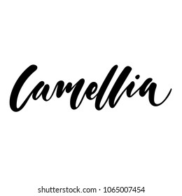 Chanel Camellia Logo PNG Vector (EPS) Free Download