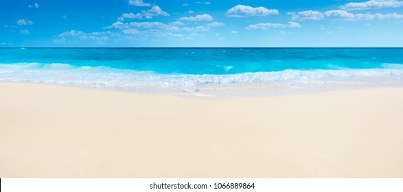 夏のビーチと海、パノラマ。
