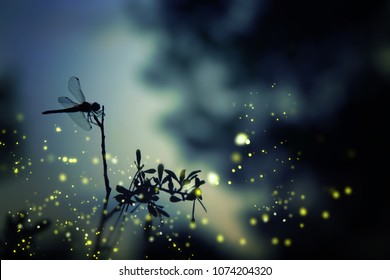 Abstraktes und magisches Bild der Libellensilhouette und des Glühwürmchenfliegens im Nachtwald. Märchenkonzept