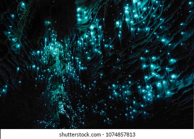 Waitomo Glowworm Caves, Waikato, Nieuw-Zeeland