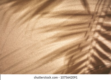 Copie el espacio de la hoja de palma de sombra sobre fondo de textura de playa de arena.