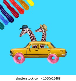 Funny Collage, Concept two giraffes in the car, summer vacations