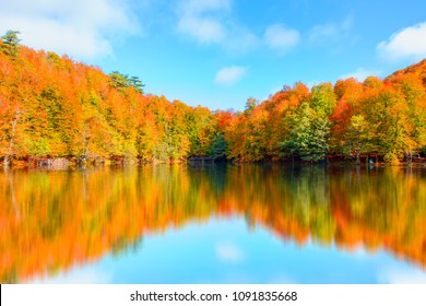 Autumn landscape in (seven lakes) Yedigoller Park - Bolu, Turkey
