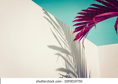 Purple palm leaves against turquoise sky and white wall. Vivid colors, creative colorful minimalism. Copy space for text