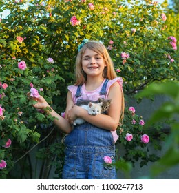 Retrato de una niña bonita con dos lindos gatitos en un jardín con rosas rosadas. Cuidado de mascotas