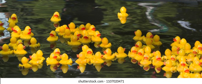 Veel Ducky Toy Little Yellow Rubber Duck Bath Toy drijvend op de rivier