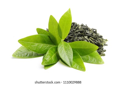 白い背景で隔離の葉と緑茶