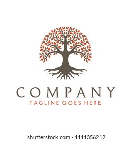 Banyan Tree Logo Vector (.SVG) Free Download