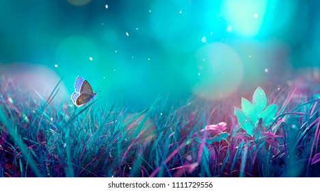 Butterfly in the grass on a meadow at night in the shining moonlight on nature in blue and purple tones, macro. Fabulous magical artistic image of a dream, copy space.