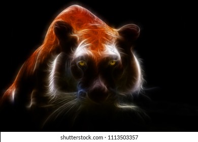 Orange eye tiger looking