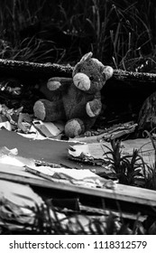 anime story of the national wars: teddy bear lost due to evacuation