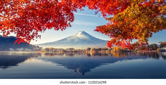 Bunte Herbstsaison und Berg Fuji mit Morgennebel und roten Blättern am Kawaguchiko-See ist einer der besten Orte in Japan