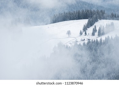 山村の霧のある冬の風景。トウヒの森に近い丘の上の土地を持つ家