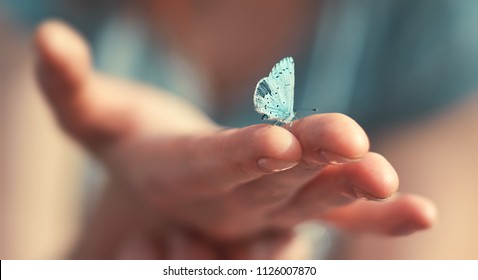 Butterfly sits on a woman hand. Blue, fragile butterfly wings on woman fingers create harmony of nature, beauty magic close-up. Macro.