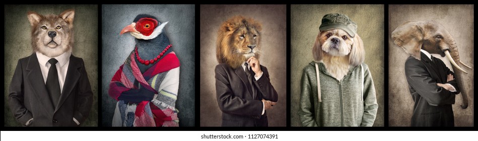 Dieren in kleding. Concept afbeelding in vintage stijl. Wolf, Vogel, Leeuw, Hond, Olifant.