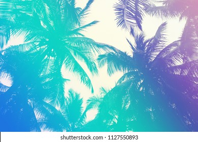 Colorful tropical 90s/80s style palm tree jungle background texture with pink, turquoise gradient