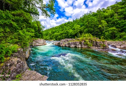 Clean water in spring forest river landscape