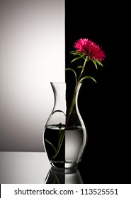 flor roja en un jarrón sobre fondo blanco y negro