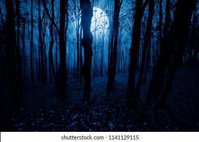 Mondscheinlandschaft im Horror-Halloween-Wald