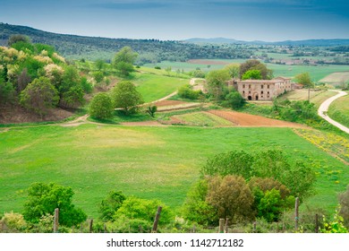 hill landscape with green field and house in Tuscany, near Monteriggioni, Italy