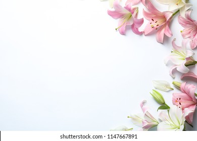 Flache Lagenkomposition mit schönen blühenden Lilienblumen auf weißem Hintergrund