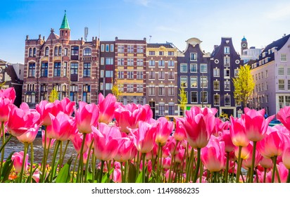 Edificios antiguos tradicionales y tulipanes en Ámsterdam, Países Bajos