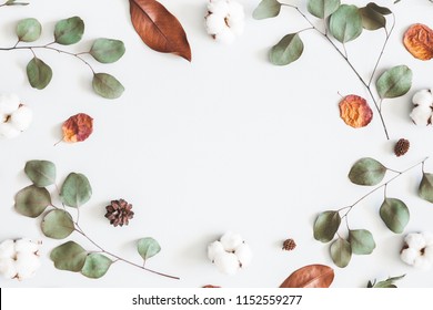 Herbstkomposition. Rahmen aus Eukalyptuszweigen, Baumwollblumen, getrockneten Blättern auf pastellgrauem Hintergrund. Herbst-Herbst-Konzept. Flache Lage, Draufsicht, Kopierraum