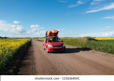 菜種畑の間の田舎道を走る赤い車 - カナダでの休暇のドライブ旅行