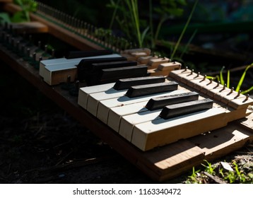 Piano patah dengan kunci yang hilang bertaburan di atas tanah di antara tumbuhan dan batu.