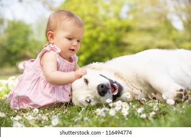 Babymädchen im Sommerkleid sitzt auf dem Feld Petting Familienhund