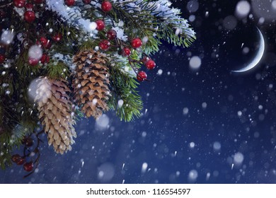 Sapin de Noël recouvert de neige sur le ciel bleu de la nuit