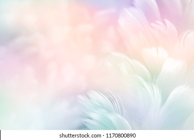 Abstrakter Federregenbogen-Patchworkhintergrund. Nahaufnahmebild der weißen flauschigen Feder unter buntem Pastellneonnebelnebel. Mode Farbtrends Frühling Sommer 2019 - Weichzeichner.