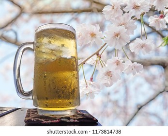 glass of beer on wood table on sakura cherry blossom tree in park Japan