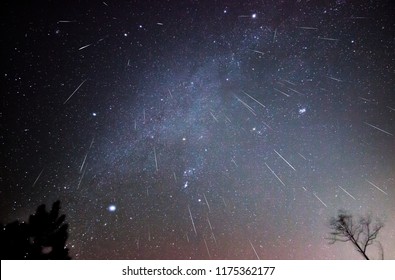 Mưa sao băng Geminid hướng xuống trong hình ảnh tổng hợp này được chụp trong vài giờ vào một đêm tháng 12 ở một vùng xa xôi của Virginia. Chòm sao: Gemini, Auriga, Taurus, Orion, Canis Major và Minor.