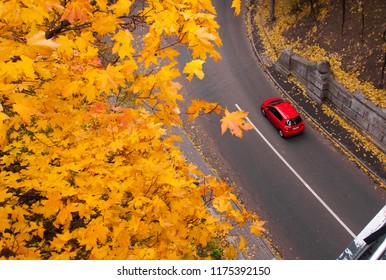 Luchtfoto van weg met rode auto in prachtig herfstbos. Prachtig landschap met landelijke weg, bomen met rode en oranje bladeren. Snelweg door het park. Bovenaanzicht. Natuur achtergrond.