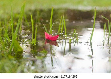 A red origami boat sails among grass and weeds in a small puddle.
