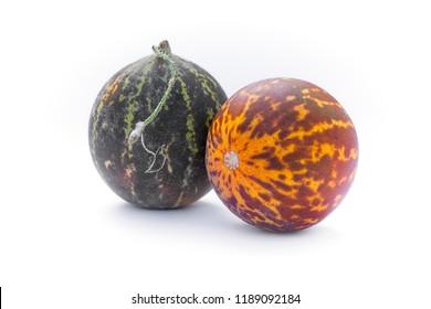 Tigger Melon (Cucumis melo "Queen Anne's Pocket"), exotische sierkomkommer