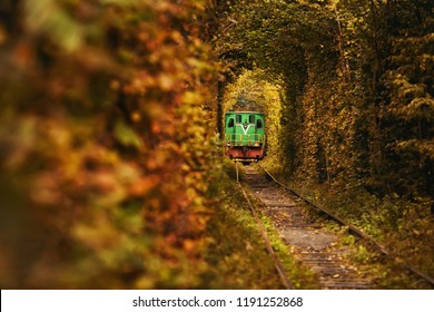 Đường hầm tình yêu tự nhiên ở Klevan, Ukraine. Cổ điển cũ màu xanh lá cây tàu trên đường hầm đẹp.