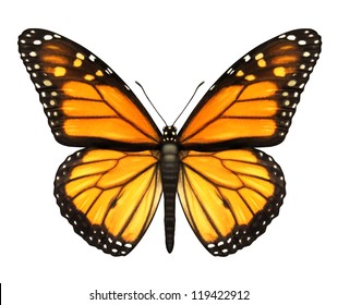 Monarchvlinder met open vleugels in een bovenaanzicht als vliegende migrerende insectenvlinders die de zomer en de schoonheid van de natuur vertegenwoordigt.